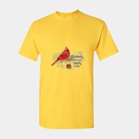 Heavy Cotton™ adult t-shirt Thumbnail