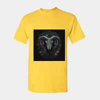 Heavy Cotton™ adult t-shirt Thumbnail