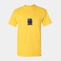 Heavy Cotton™ adult t-shirt Thumbnail