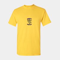 Heavy Cotton™ adult t-shirt Thumbnail