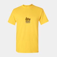 Heavy Cotton™ adult t-shirt Thumbnail